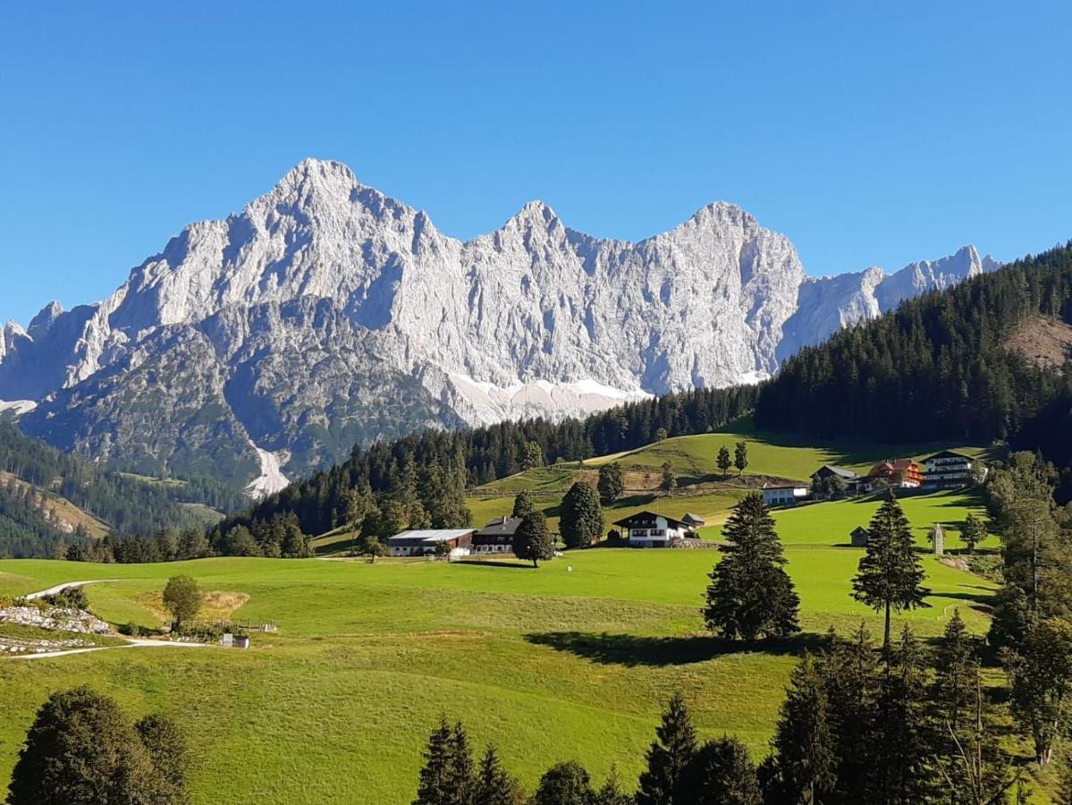 Appartement Muehlebnerhof Ramsau am Dachstein Ngoại thất bức ảnh