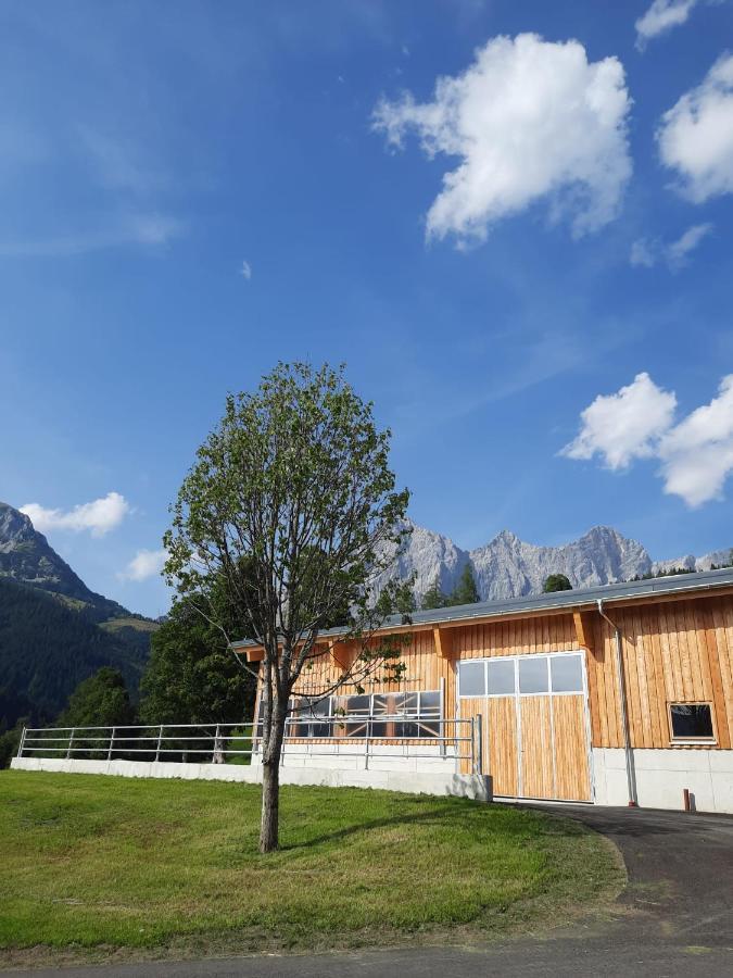 Appartement Muehlebnerhof Ramsau am Dachstein Ngoại thất bức ảnh
