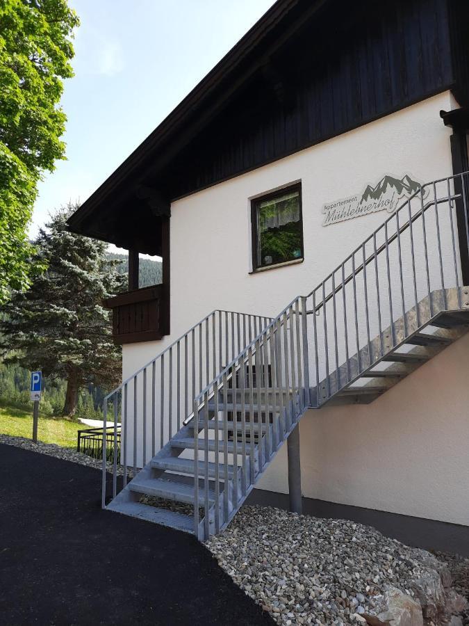 Appartement Muehlebnerhof Ramsau am Dachstein Ngoại thất bức ảnh
