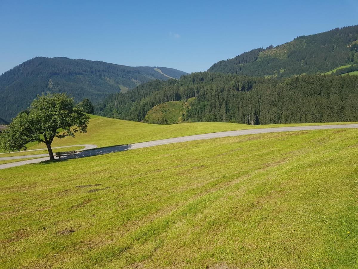 Appartement Muehlebnerhof Ramsau am Dachstein Ngoại thất bức ảnh