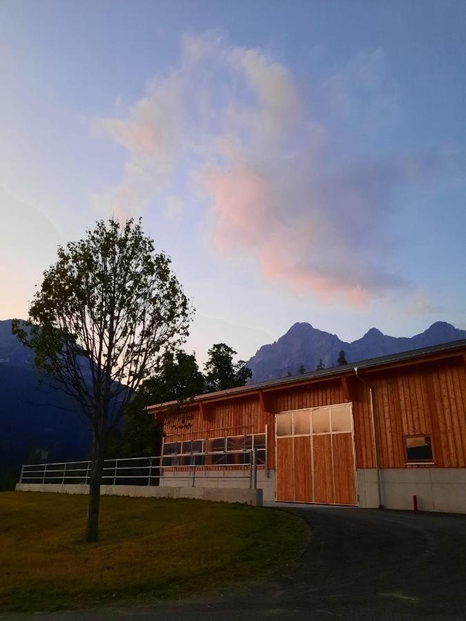 Appartement Muehlebnerhof Ramsau am Dachstein Ngoại thất bức ảnh