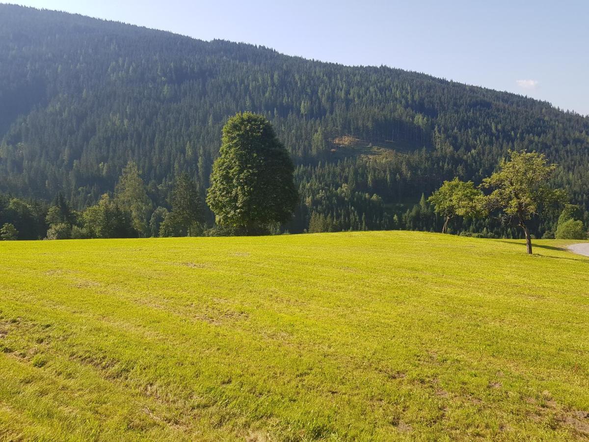 Appartement Muehlebnerhof Ramsau am Dachstein Ngoại thất bức ảnh